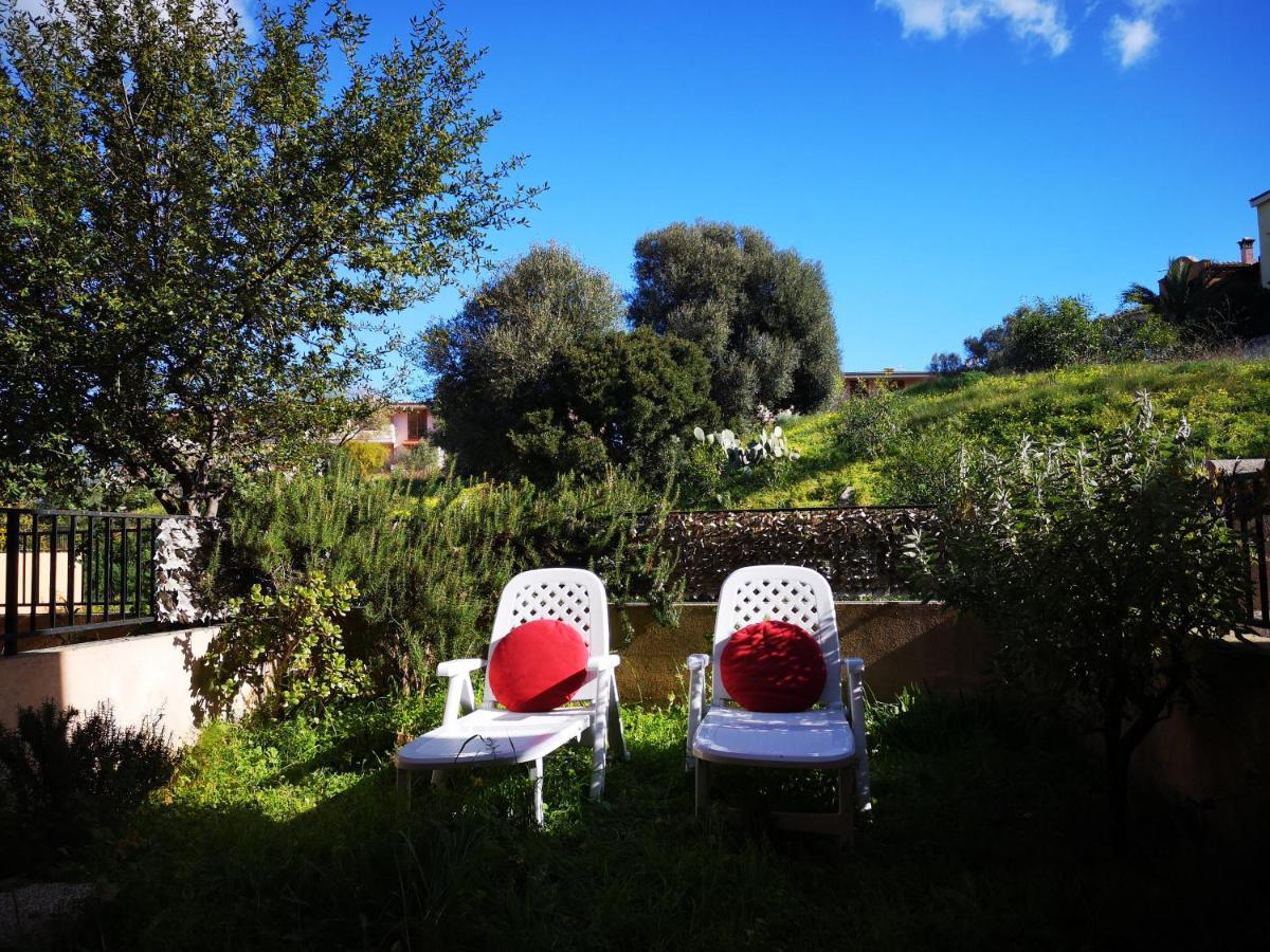 Sunny Garden House